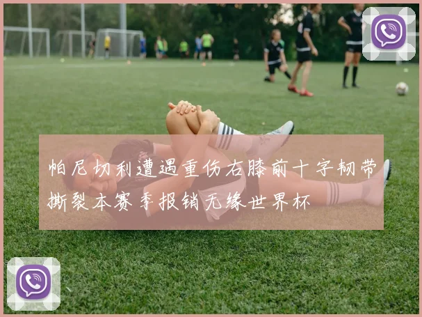 帕尼切利遭遇重伤右膝前十字韧带撕裂本赛季报销无缘世界杯